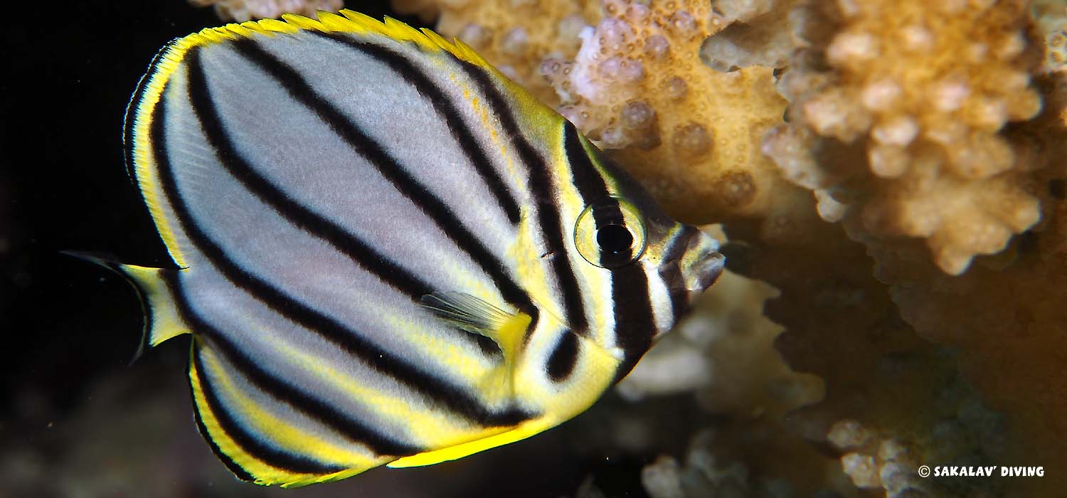 centre Plongée Nosy Be